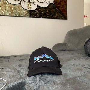 Patagonia Fitz Roy Trout Trucker Hat